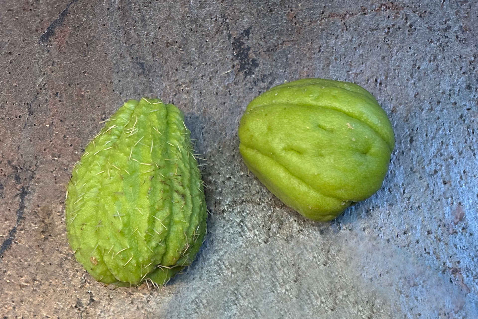 Baked Chayote – image 1